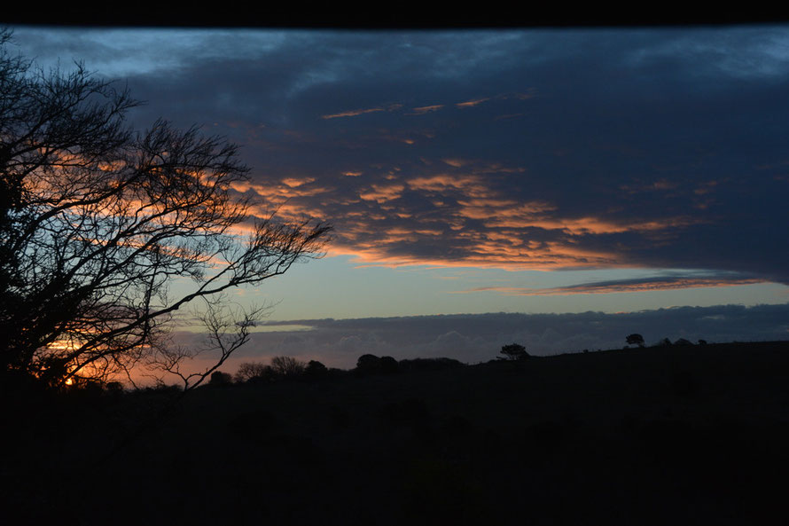 More of that sunrise bouncing off the clouds above.