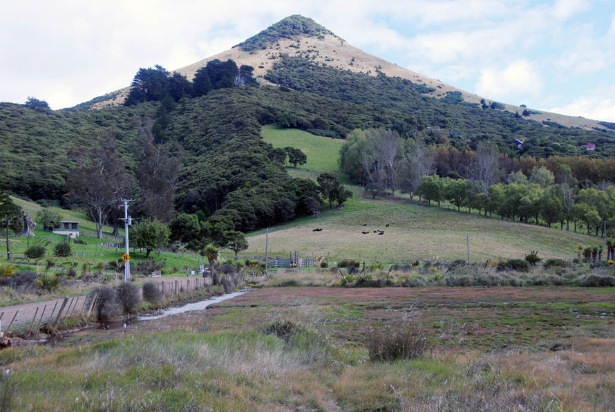 Scotts Hill on the northern side of Hoopers Inlet on the Otago Peninsula