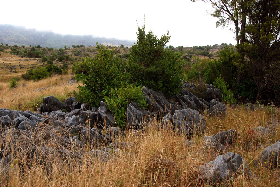 t Caanan Downs at the top of Takaka Hill