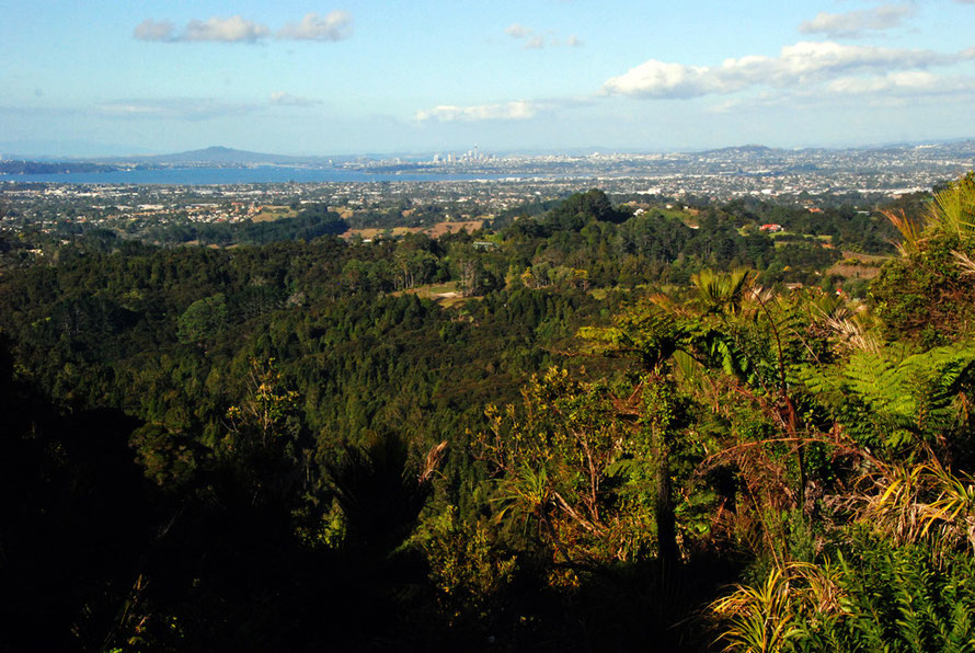 Auckland from the Scenic Route in the Waitakere Ranges north west of the city. The Waitemata Harbour is in front of the downtown skyline and Rangitoto Island is on right. 