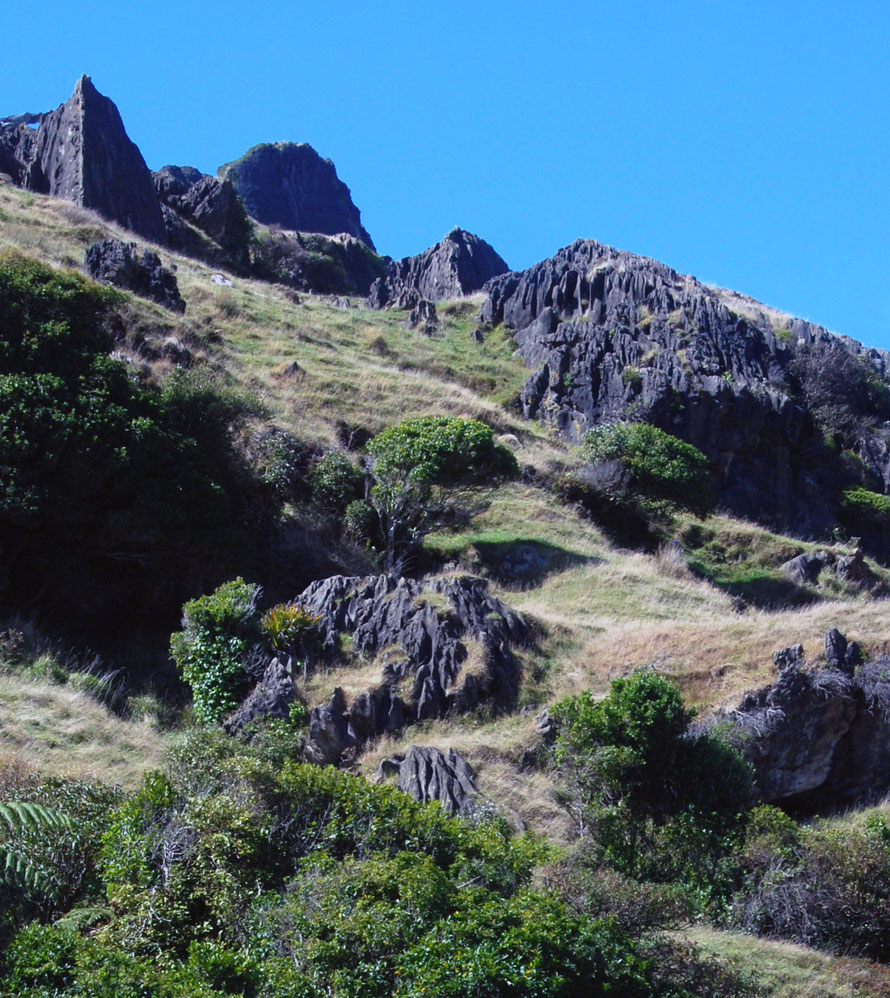 This karst landscape on the bluff to the north of the Puturau shows an earlier stage of karst formation. Rinnenkarren (runnels) are visible on the partly unmantled limestone at the bottom of the photo