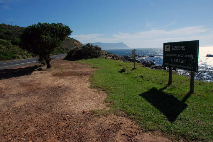 Do not feed the baboons: sign between Simon's Town and the Cape Point looking ESE towards the distant Holland-Hottentot Mountains on the far-side of False Bay