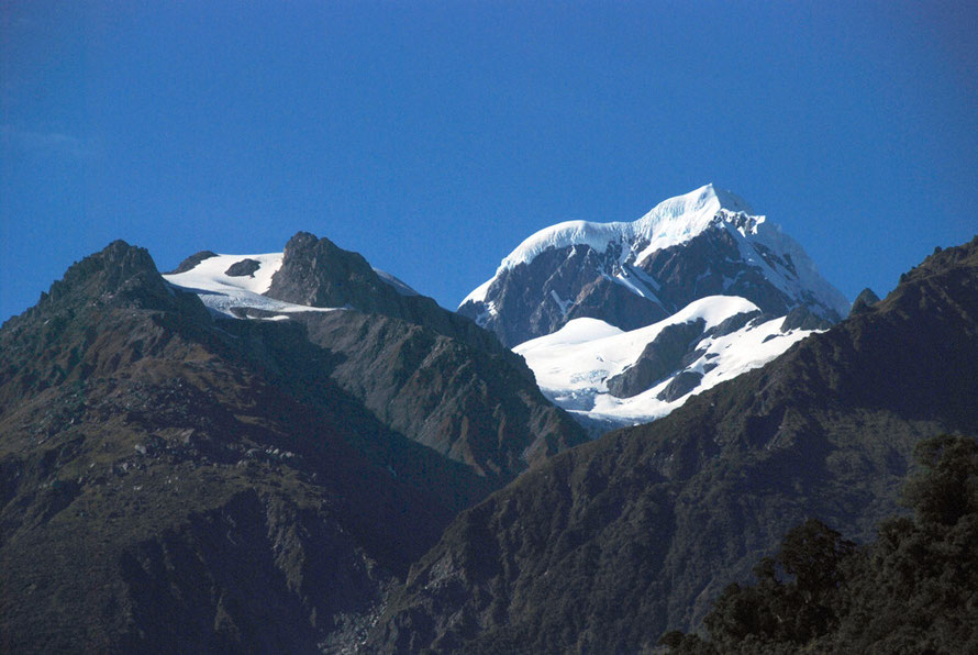 Mt Tasman from Fox Glacier Village with the Fox Range in the foreground