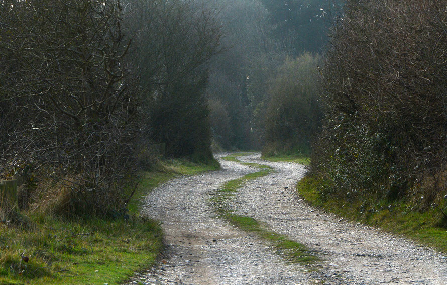 Flint Road: today's blip at FergusMurray12 at Blipfoto.