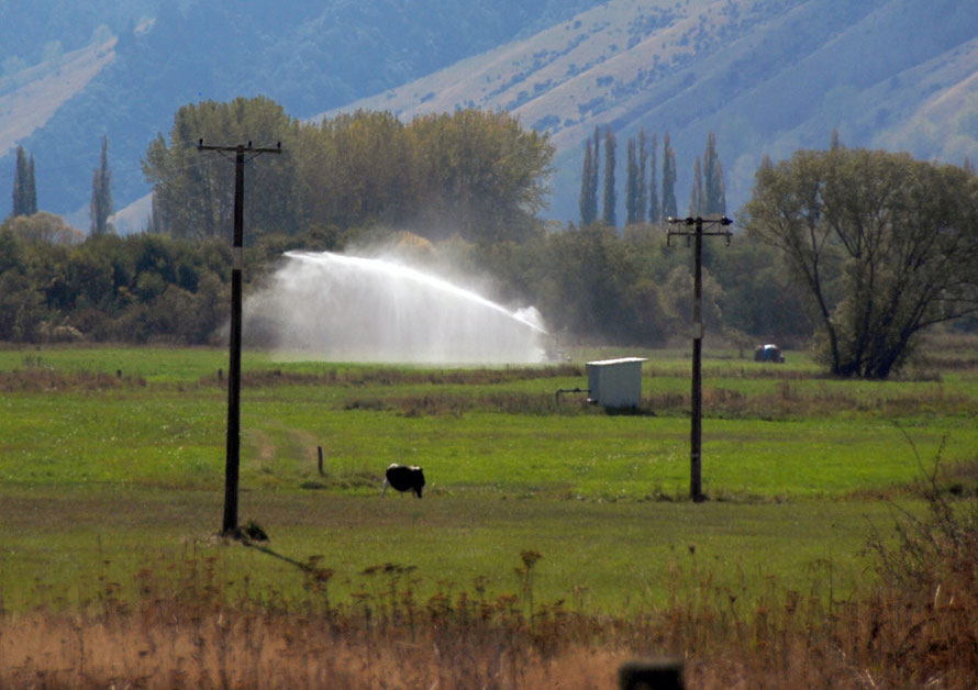 Upper Motueka Valley pasture irrigation