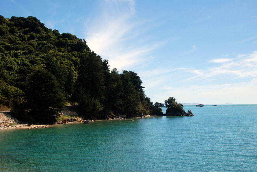 The forest-covered bluff on the far side of Wainui Bay.