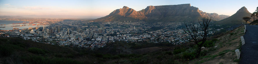 Panorama of Harbour and City Bowl and from left Devil's Peak, Table Mountain, Twelve Apostles, Lion's Head and in foreground burnt tree and bank still smoking from recent fynbos fire