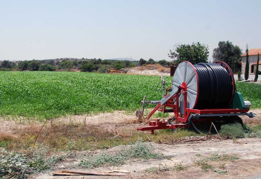 Irrigation of fodder crops near Kalavassos