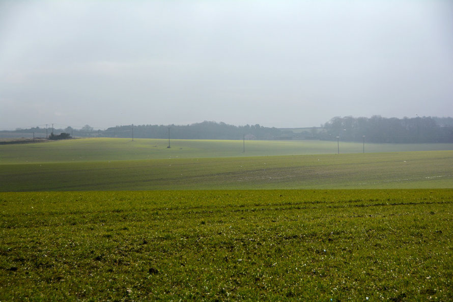 The vast expanse of green at Updown where the North Downs meet the old marshes of the Stour and the inland sea between Kent and the Isle of Thanet. 