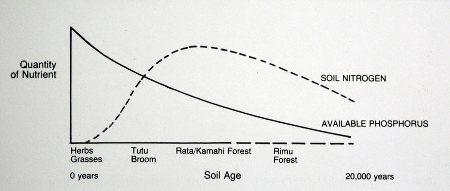 Soil formation and vegetation progression processes on New Zealand's West Coast glaciated landscapes plotted against soil nitorgen and phosphorous supplies (from McSweeney in RFBP Forest, Fiords and G