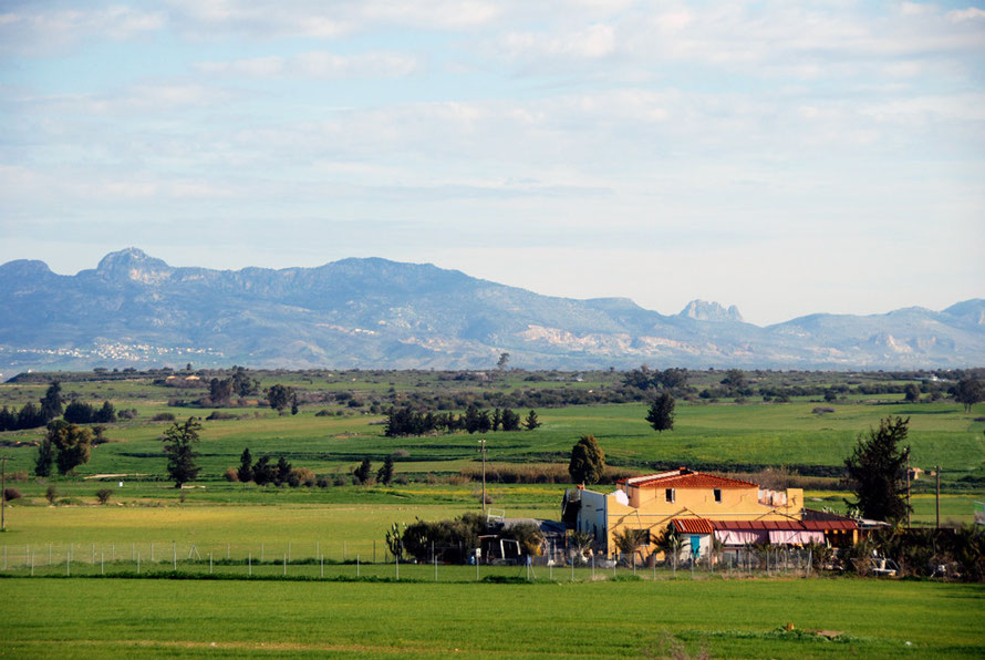 IThe Mesaoria at Mammari looking towards the Green Line and the Kyrenian Hills (January, 2013).