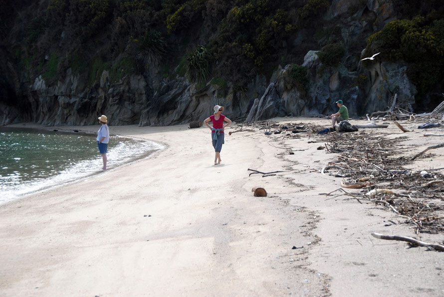 The tide coming in and blocking the Taupo Head path by the sand spit in Wainui Bay.