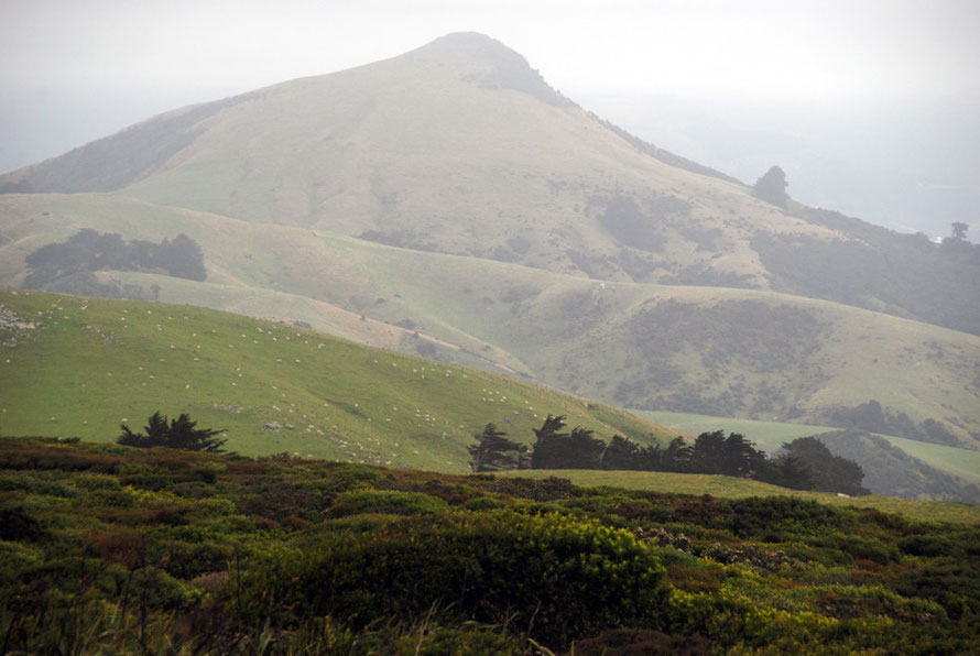 The stripped and pared-down landscape of the Peninsula with Harbour Cone (315m).