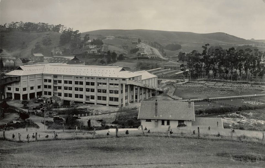 Freezing works, Burnside, Otago. Note the penned sheep awaiting their fate on the right. Apparently the place used to stink. (Claude Morris ) Ref: MNZ-1522. Alexander Turnbull Library, Wellington