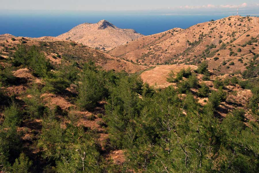 Closing in on the uncrossable Green Line, the bare hills like the spine of a great monster