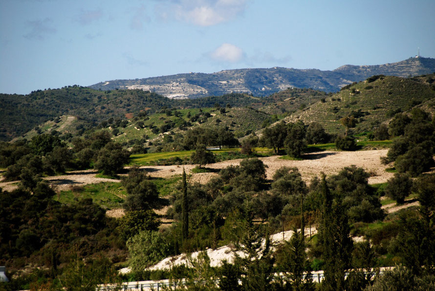 Looking up to the marl foothills of the Troodos with carob and olive trees and Makarios Earth Satellite Station in upper right, near Kofinou, January 2013