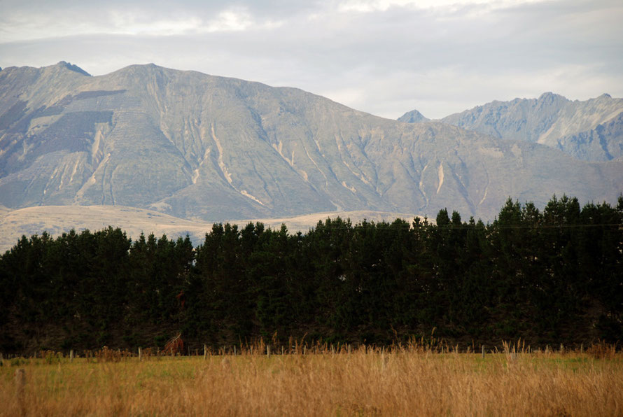 Erosion scarred hills in the Waiau Valley near Manapouri.