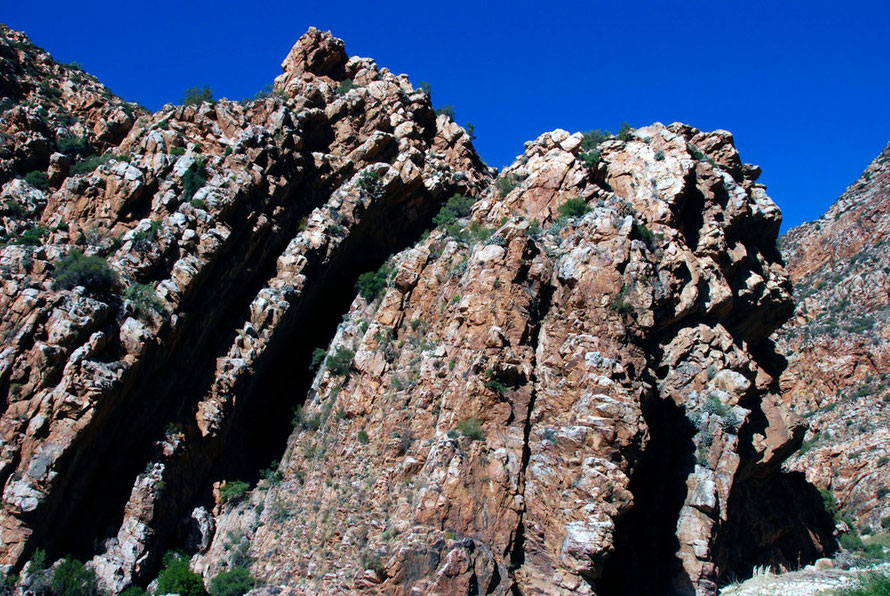 Tremendous folding in the Quartzite Sandstones in the Montagu Gorge