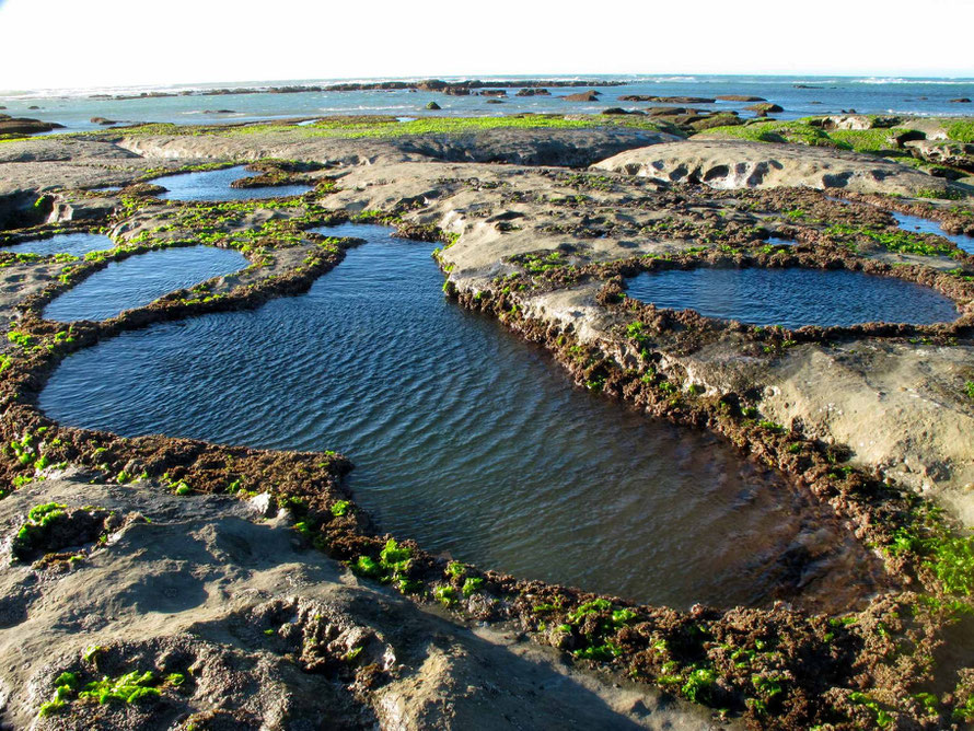 Limestone rock pools  at Paturau Beach (Courtesy of http://nzfrenzysouth.files.wordpress.com/2013/ - click for link)