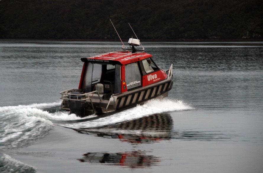 Our water taxi leaves us on Ulva and shoots off to pick up a party of White-tailed deerhunters heading out to the far west of the island.