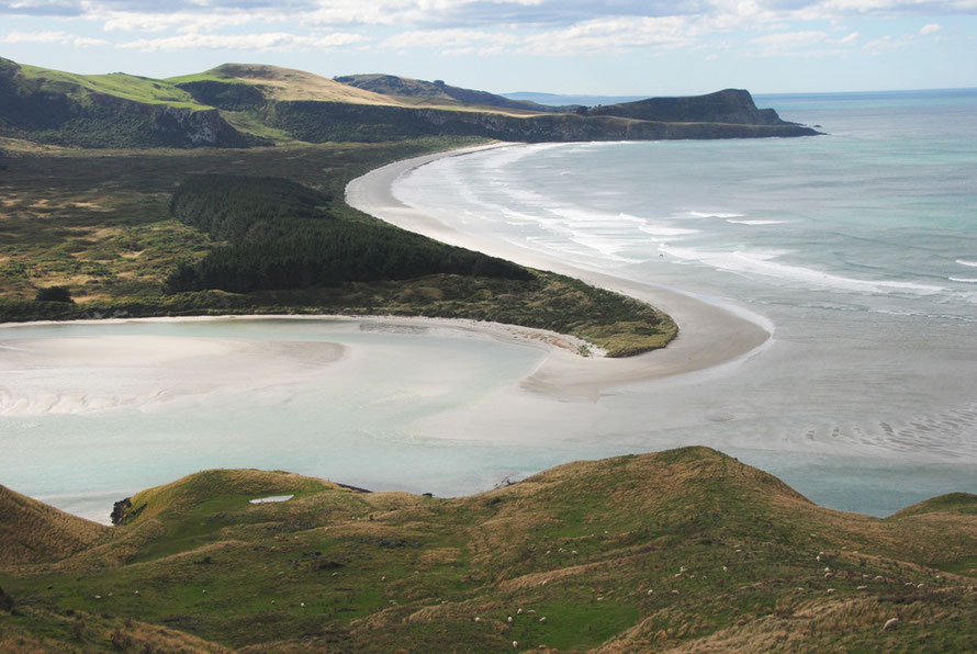 The beautiful curve of the pristine Victory Beach on the Otago Peninsula