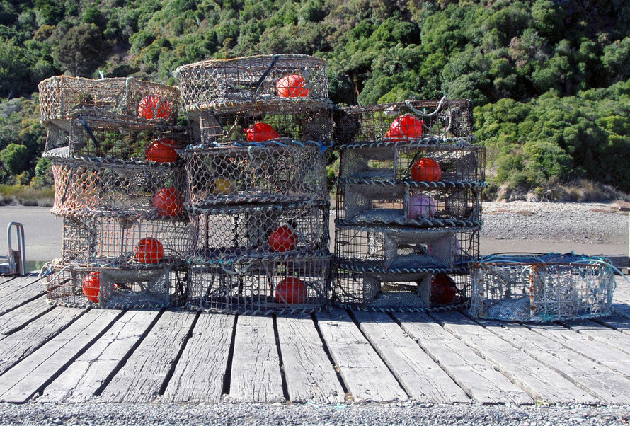 Creels at Waitapu Wharf, Golden Bay, Tasman