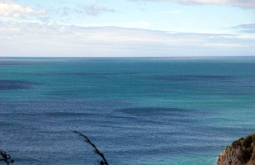 The Pacific with off-shore south-westerly from Taiaroa Head, Otago Peninsula