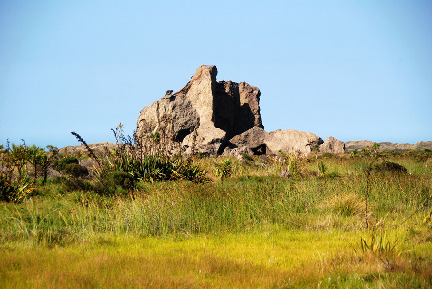 Cutter Rock at Whatipu viewed over the marsh brasses and reeds. 