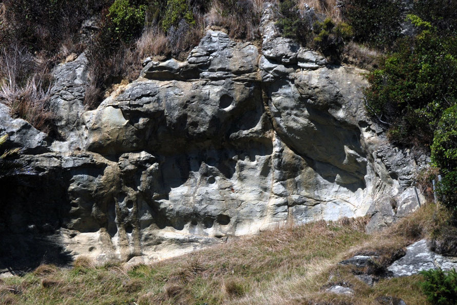 This bed of rock above the limestone is quite distinct and marked with strange holes apparently scoured horizontally into it. (Did the bedding plain once lie flat on a river bed to be scoured by bould