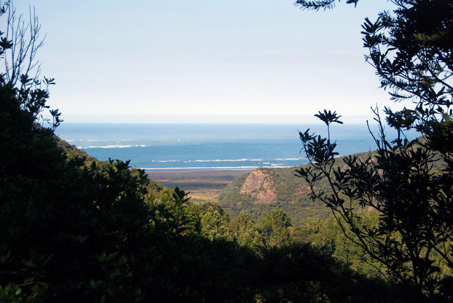 'And then suddenly a glimpse of the Tasman Sea - the breaking surf etched dazzling white against the deep ultramarine sea stretching away and away to the distant horizon.'