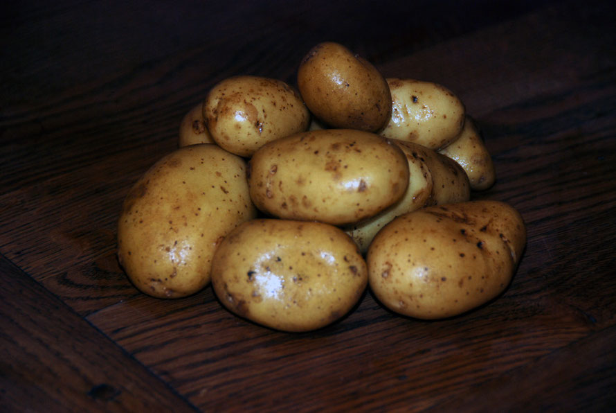 Climate change on one allotment: potatoes from the garden