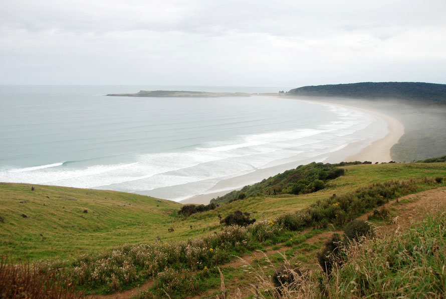  Tautuku Bay and Peninsula warmed by the Southland sub-tropical ocean current but liable to catch the brunt of storms developing to the south or south-west of the South Island and favoured by big wave