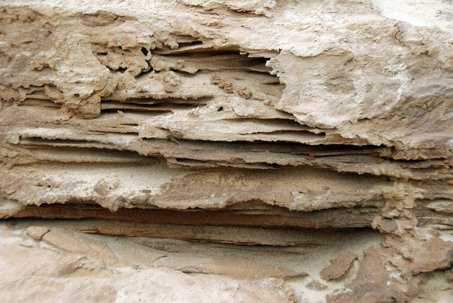 Compacted layers if wind-blown sand revealed at Sand Fly Bay