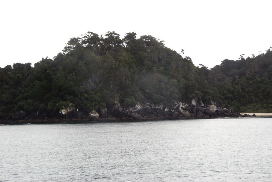 Splendid podocarp forest at Bragg Point on Stewart Island. Dead Man Beach is on the far right.