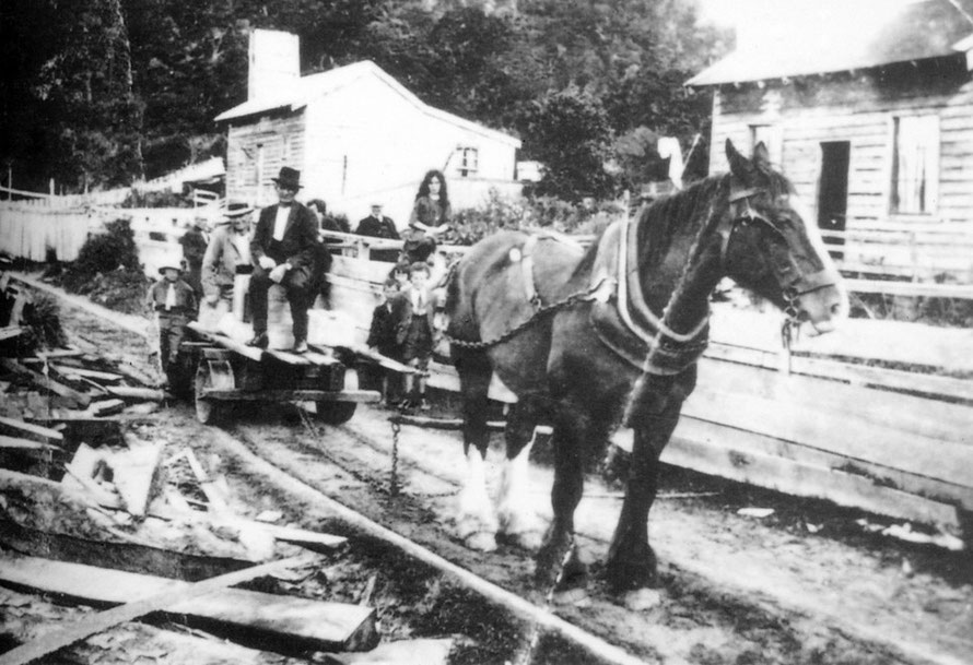 Sawmill community at Maori Beach, Stewart Island in the 1920s and 30s.