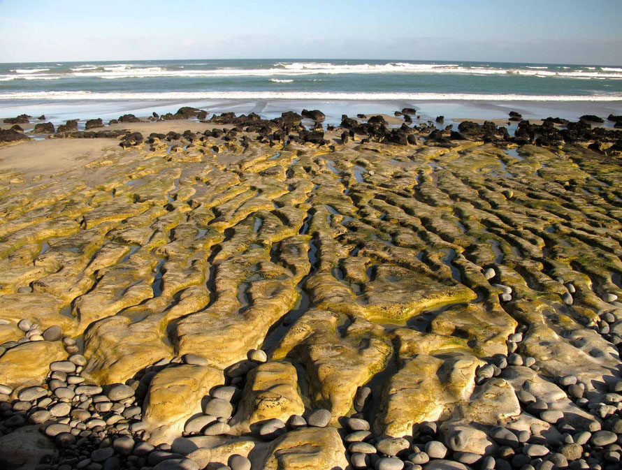 Sea-formed karren at Paturau Beach (http://nzfrenzysouth.files.wordpress.com/2013/