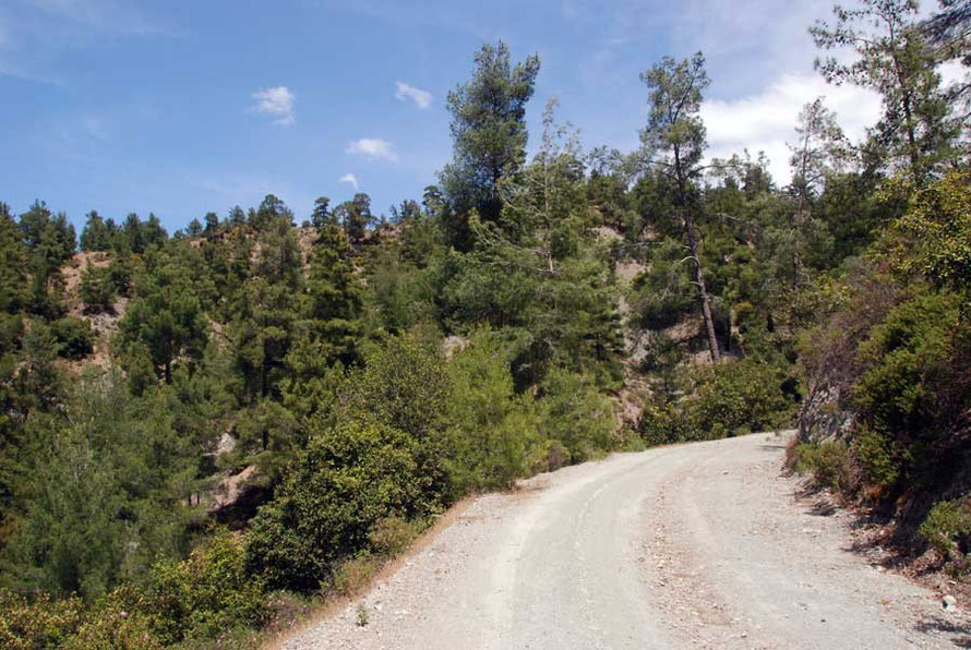 Sharp corner on the dirt road beypond Livadi heading for Stavros tis Psokas