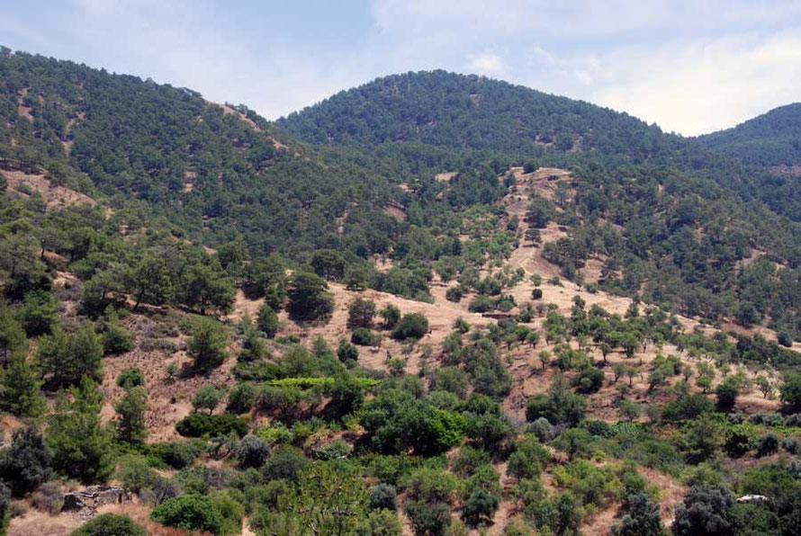 The foothills of the Tillirian Troodos above Pomos