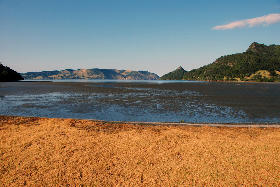 The scorched grass and mudlfats of Huia Bay looking across to the South Head of Manukau Harbour. 