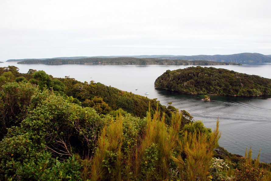 A view of Ulva Island from the lookout above Oban, Stewart Island. It lies behind the little island of Iona in the foreground right. 