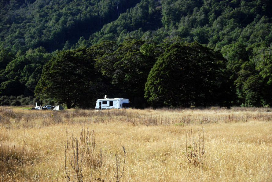 Lupins in the foreground, campers in the back: Cascade Creek campsite on the Milford Road.