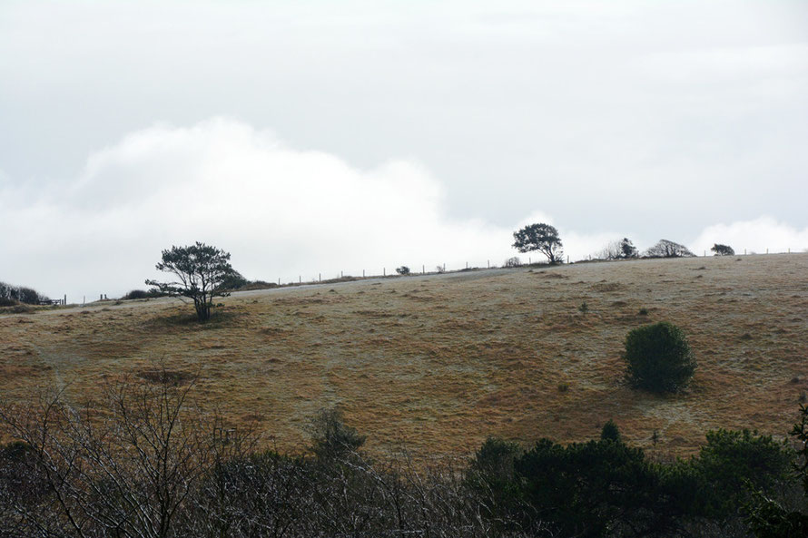 The Foreland with its thin mantle soon gone. 