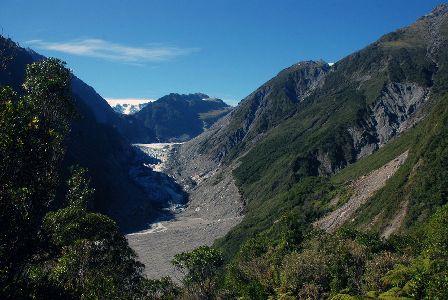 Temperate rain forest on the edges of the Fox Glacier valley. Slips, landslides and erosion expose new rock that in turn breaks down into soil and renews nutrients. Note the forest line of previous gl