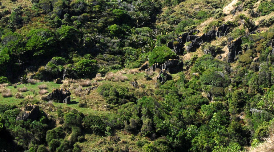 Detail of photo above showing spitzkarren below the layer of overcapping rock on the bluffs behind.