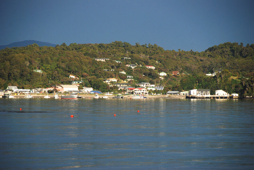 Oban in the sunlight seen from Fishman's Point on the way to Ackers Point, Stewart Island.