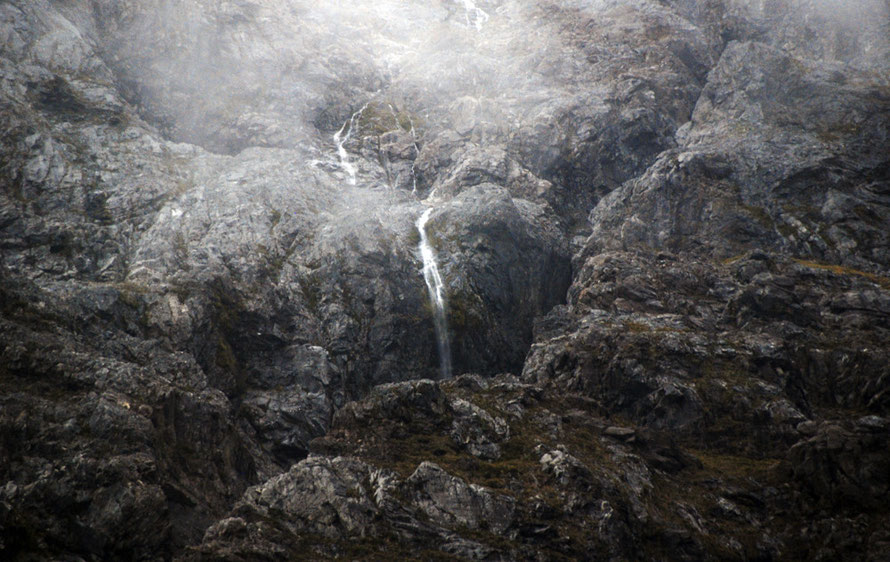 With rainfall of up to and over 5 metres a year there is no shortage of water. In 2013 30 cm of water fell in the area of the Homer Tunnel in a 24 hour period.