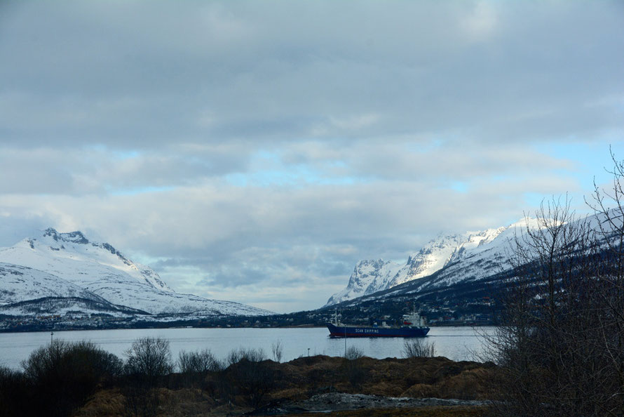 Scan Shipping vessel in the Sandnessundet on the west side of Tromsøya island in the early morning. 