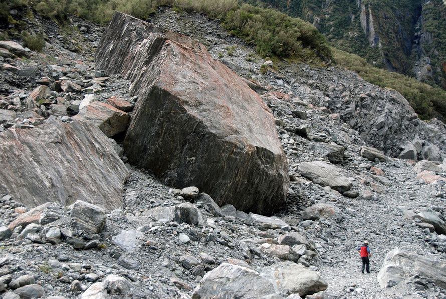 A giant block of schist carved out by the Fox Glacier and deposited high on the valley wall