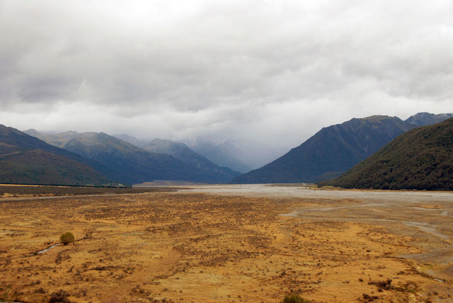 The broad Bealey Flat dominated by short tussock grass and shrubs such as matagouri - looking towards Mt Murchison