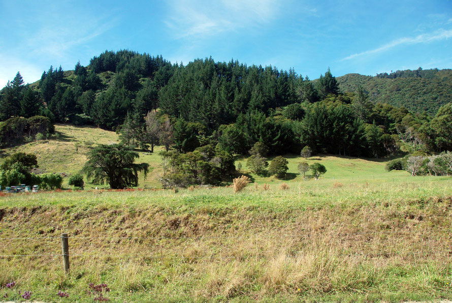 God's own. The recreation ofa British Arcadia in a foreign land: near Wainui Falls, east of Pohara in Golden Bay